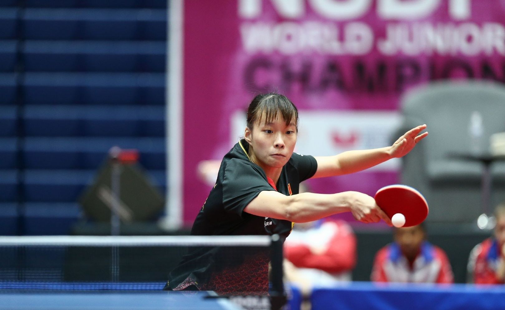 携带和展示 携带和展示