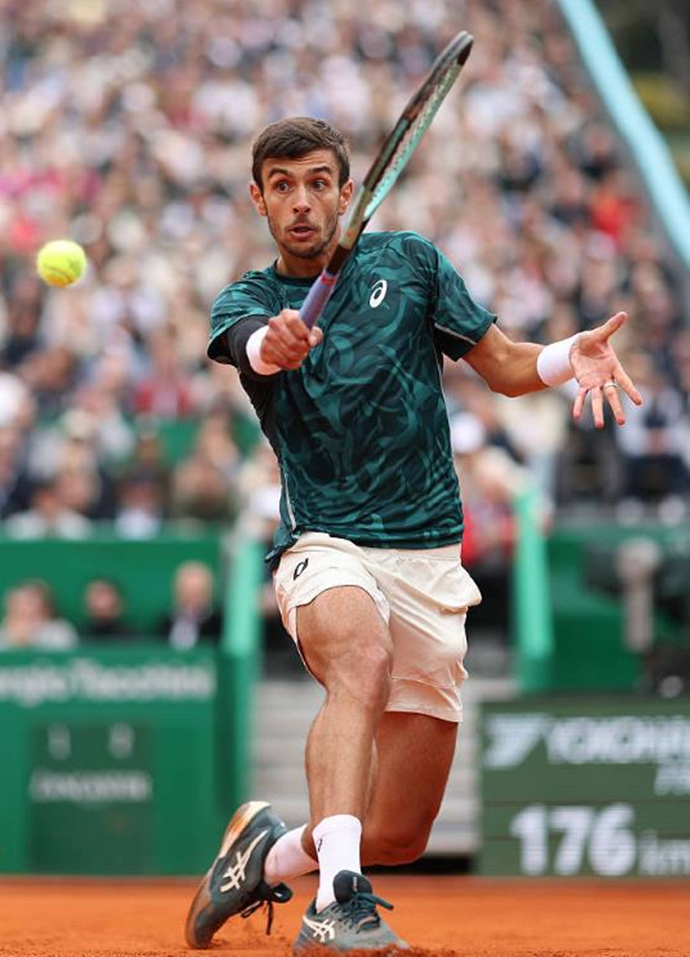 的德甲联赛 的德甲联赛